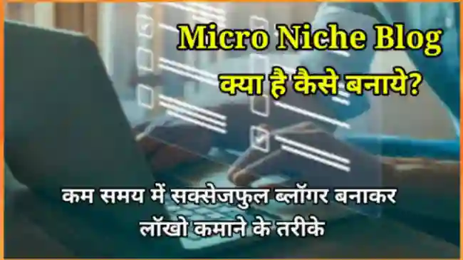 Micro Niche Blog क्या है