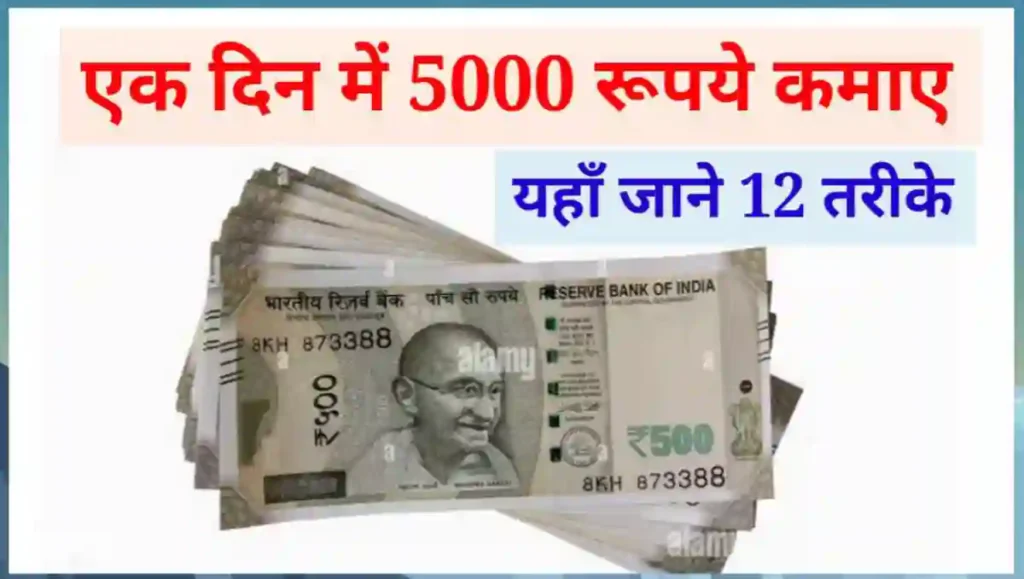 एक दिन में 5000 रुपये कैसे कमाए - 12 शानदार तरीके 1 1000001430